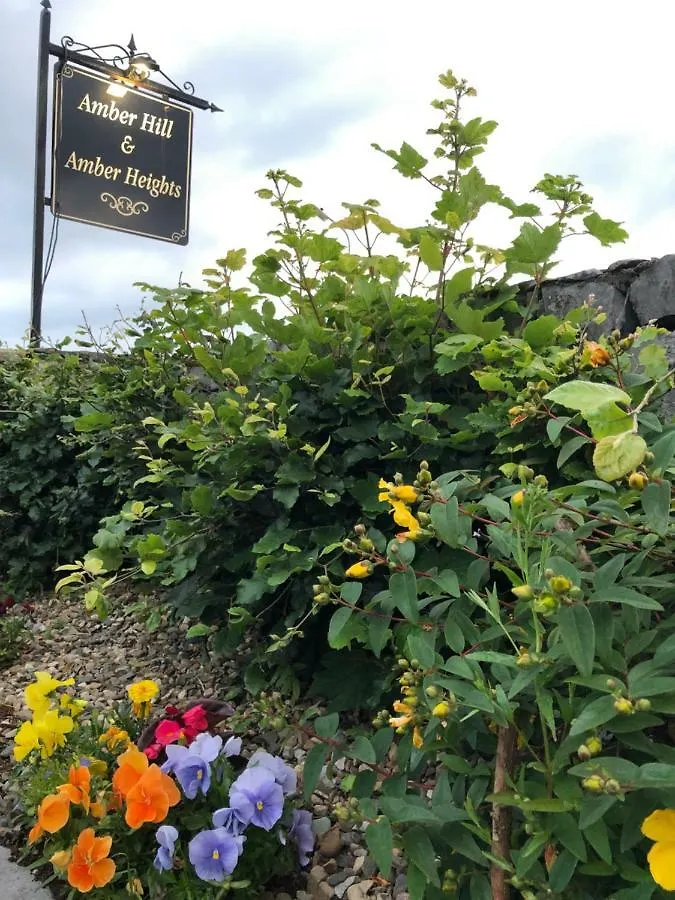 Amber Heights Bed & Breakfast Galway