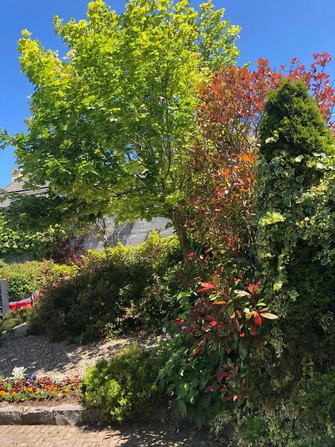 Amber Heights Bed & Breakfast Galway